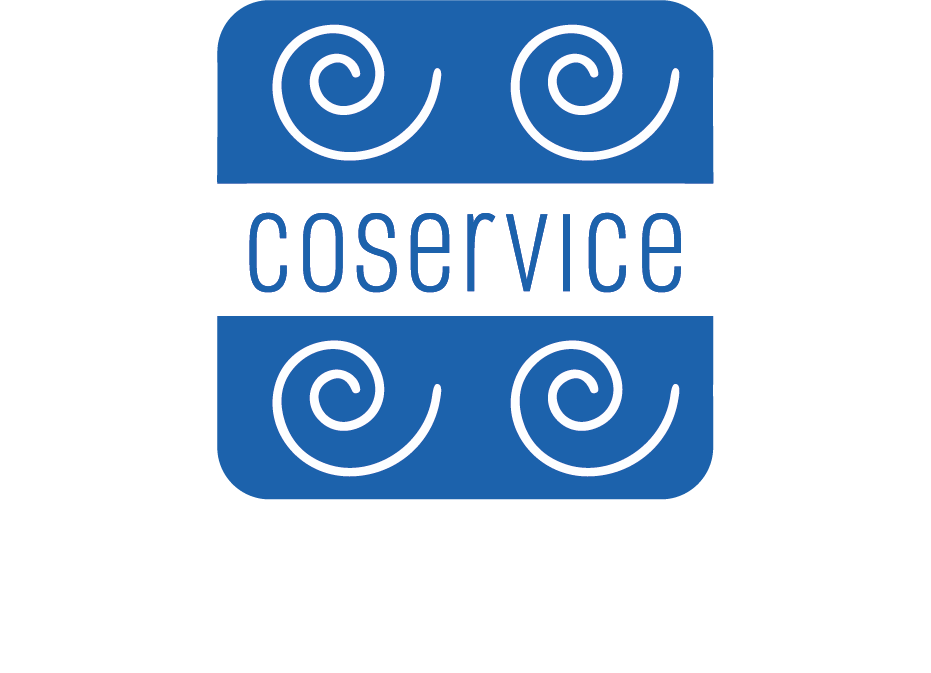 COSERVICE Idee al servizio dell'industria